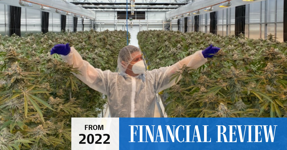 Australian Natural Therapeutics Group backed by Kennard selfstorage and hire family